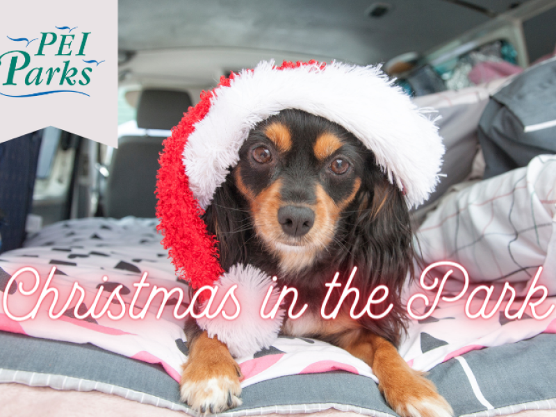 Jacques Cartier Christmas in the Park